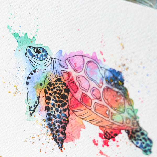 TORTUE A MARIE - limited print edition